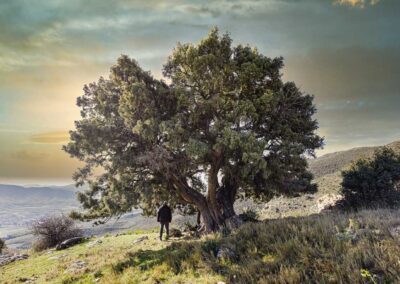 Comarca de Calatayud: destino cinematográfico