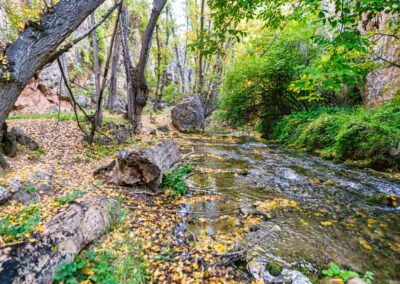 Gestión del uso público de ZEPA, bosque de ribera y hoces de los Ríos Mesa y Manubles